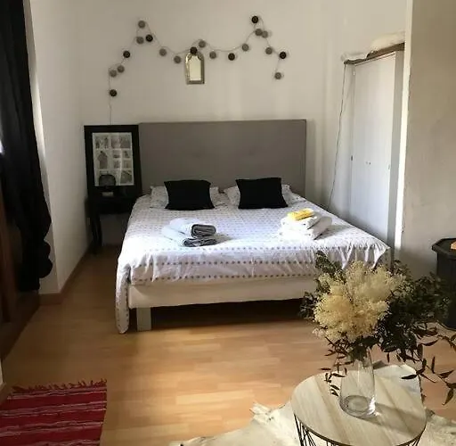 Tres Beau T2 Dans Mas . * Boisset-et-Gaujac